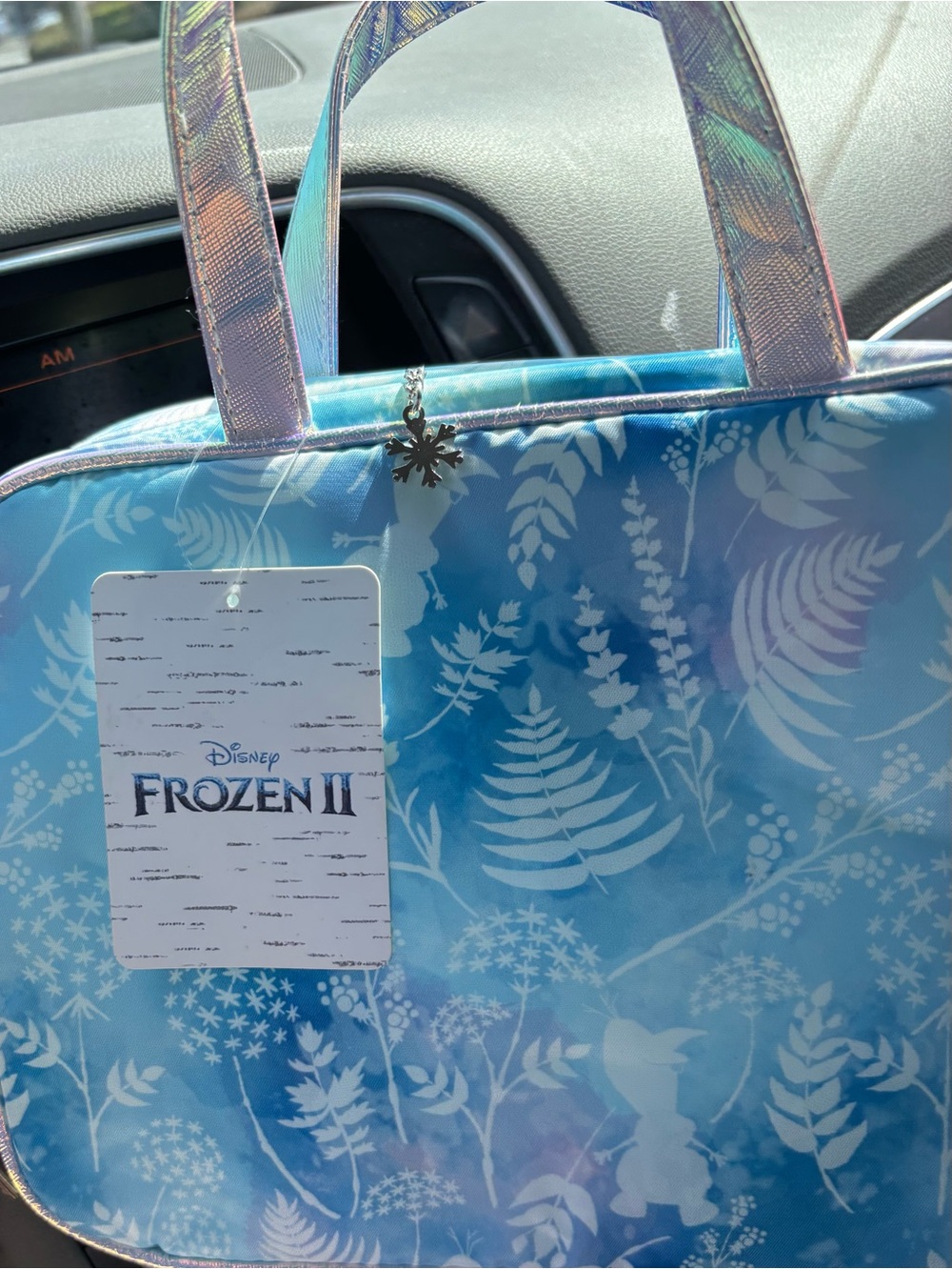 FROZEN II cosmetic bag.  NWT
Disney